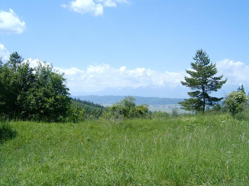 20120616 039.jpg